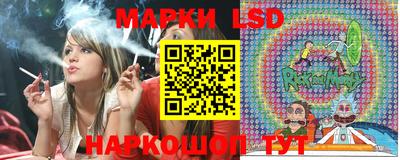 гидропоника Дубна