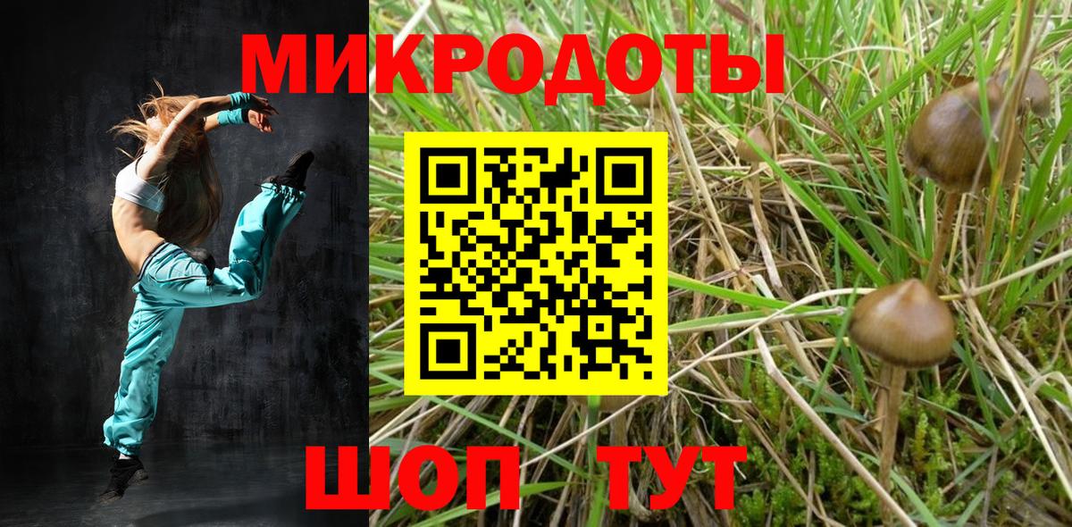 Псилоцибиновые грибы Psilocybe Павловский Посад