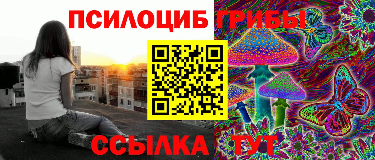 Павловский Посад  Галлюциногенные грибы Psilocybine cubensis  Вход с VPN 